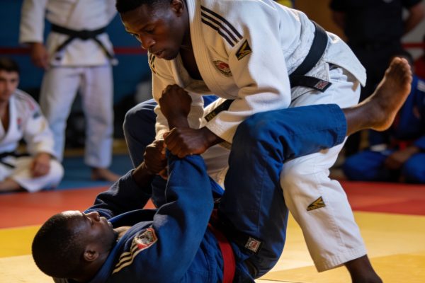 Jujitsu – Le Cnosc prononce la levée de la sanction de la fédération
